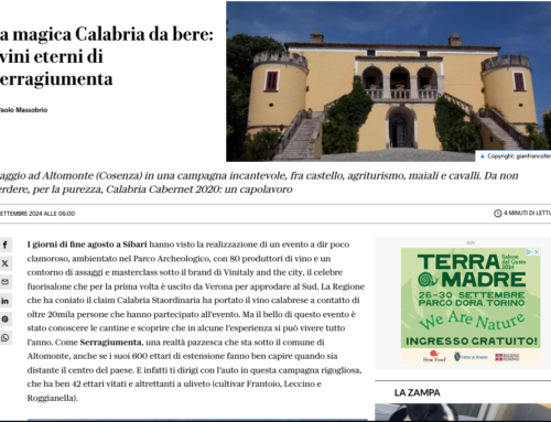 La magica Calabria da bere: i vini eterni di Serragiumenta